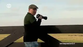 Hoe vogels voetballers vervangen voor razende reporter Frans van Pagee