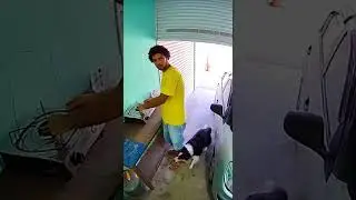 cachorro evita que dono se machuca em explosao #dog #funny #viral #cachorro #pets #memes