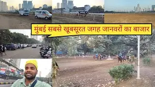 मुम्बई का सबसे खूबसूरत ग्राउंड और सबसे अमीर लोग यही पे आता है घूमने। Dekhe dosto mast ground ghora 