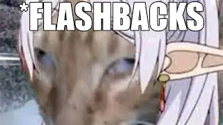 Frieren everytime she flashbacks