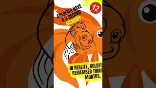 Myth Exposed: Separating Fact from Fiction #mythvsfact #mythbusting #fictionvsreality