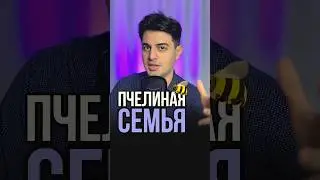 Как устроена пчелиная семья для ЕГЭ/ОГЭ по биологии