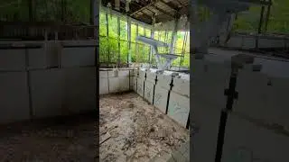Abandoned pool in Pripyat (