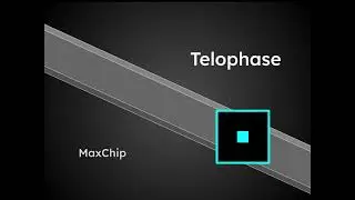 MaxChip - Telophase