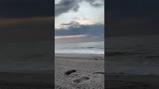 Sandy Hook Beach 🏝️  #newjersey  #beach