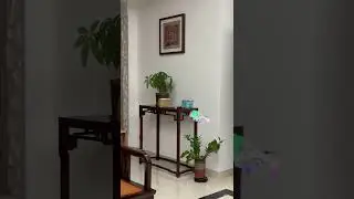 What is tumbling through the air? It's the Flykit Drone flying. 2024 Years Toy Gifts. #funnyvideo