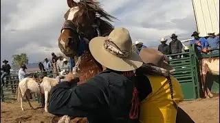 Wild Horse Race Bylas,AZ 2025
