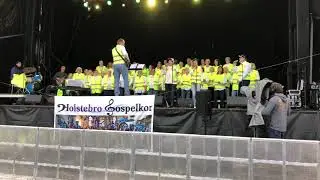 Danmarks st&oslash;rste Vejfest