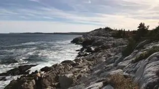 iPhone 7 Plus 4k test - no tripod / stabilization