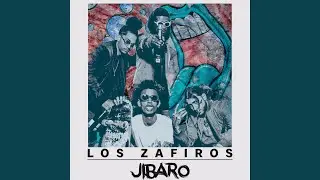 Jibaro (feat. Flacco Sucio & Viciosa Life)