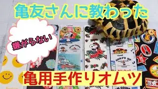 【ヘルマンリクガメ】亀用🐢のオムツを教えてもらって作ってみた💁✨