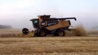 CAT Lexion 580R combines Harvest 09