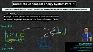 Complete Energy System- ATP- PCr & Glycolytic system,Oxidative Phosphorylation (Aerobic) - By Divyam