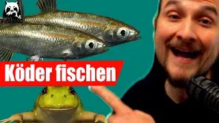 Russian Fishing 4 - Moskito See - Lauben und Frosch, K&ouml;der angeln auf Pose