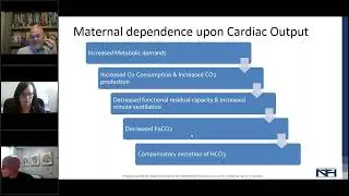 Bite Sized Lecture | Navigating Obstetric Emergencies