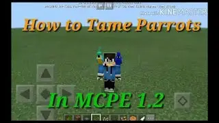&radic;How to tame parrots in MCPE 1.2(Tutorial)