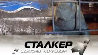 Stalker_196__07.03.15__океанариум - проверка прокуратурой