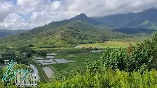 Hanalei Valley Lookout || Kauai, Hawaii