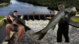 Multi-Species Spillway Fishing