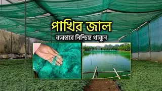 Bird net to protect fruits | Bird net | Anti bird net | Ways to keep birds away from ponds
