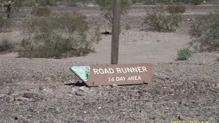 Roadrunner BLM Free Camping area near Quartzite, AZ
