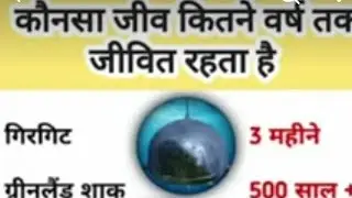 99.9% लोग फैल हो जायेंगे 😱 |  LIVE
