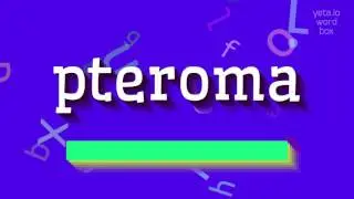 КАК СКАЗАТЬ ПТЕРОМА?  #птерома (HOW TO SAY PTEROMA? #pteroma)