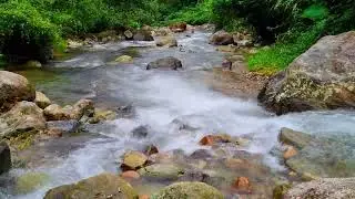 Clear River Flow For Deep Focus | 1 Hour Nature Sounds for Productivity and Study 4K