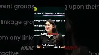 Saiyaara Movie Review By Aarushi Ma'am PW 🤣🥰 || Foundation Batch || Physics Wallah || #saiyaara #pw