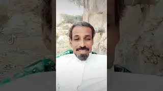 جلست ابو عادل في رحلته البرية