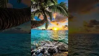 Mo'omo'oga - Tiare Savea & Vaniah Toloa