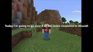 5 of the rarest consmetics in strucid! (ROBLOX)