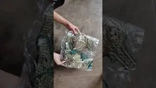 mordan blouse mirror work blouse | meesho blouse unboxing