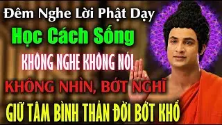 Lời Phật Dạy: Học Cách Sống Bớt Nói, Bớt Nghĩ, Để Đời Bớt Khổ | Giữ Tâm Bình Thản Giữa Sóng Gió