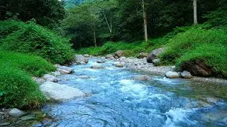 Zen Escape &ndash; Beautiful Enchanted Water River Sound in Forest Stream &ndash; Meditation Aid