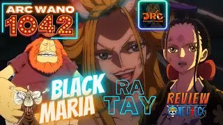 Review ONE PIECE ARC WANO ☠️ Tập 1042 ẢO ẢNH VỀ QU&Aacute; KHỨ CỦA ROBIN  | T&oacute;m Tắt ĐẢO HẢI TẶC