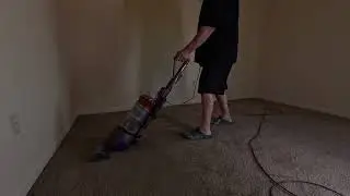 Dyson Ball Animal 3 Vacuuming Up Embedded Pet Hair