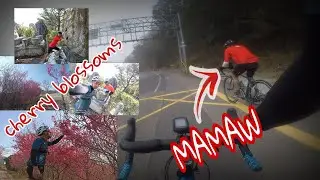 Newbie Ride | SAKURA HUNTING
