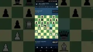 Fun chess, Chess is fun 