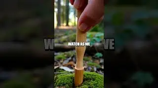 Mastering Fire-Starting Techniques