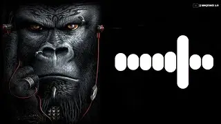 Cool Boy Remix Ringtone || Remix Ringtone || Cool Boy || New Ringtone 2021 || Ringtones 2.O ||