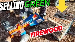 Splitting Green Firewood To Sell NOW! #firewood