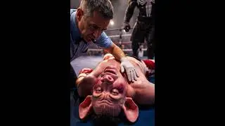 Pig Boxer vs Venom Cat 🥊 | Rage Comeback Fight #shortvideo