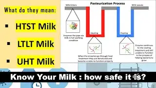 HTST LTLT UHT Milk   difference