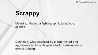 Scrappy Meaning
