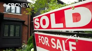 Toronto's housing market is showing signs of a bounceback