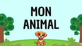 MYP (Year 1) - 1. Me and My Environment | Mon animal / My Pet