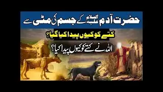 Hazrat Adam ki Paidaish ka Waqia | Kutte ki Paidaish Kaise Hui.حضرت آدم علیہ السلام