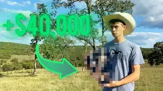 3 Ways You Can Make Money In Your Backyard