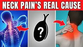 The REAL Reason Behind Neck & Shoulder Pain Few People Know!